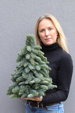 Nobilis, świąteczna choinka z żywych gałązek, wys.30cm 