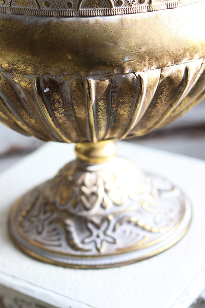 bogaty storczyk w złotym pucharze, Palazzino, wys.100cm