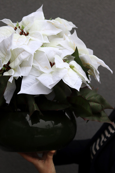 Gwiazda Betlejemska Green Pot, wysokiej jakości sztuczna roślina