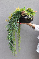 Green Delia, zielona kompozycja z sukulentami, wym.25x32cm