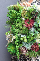 efektowna kwietna rama jednostronna, Sukulenty Revollito