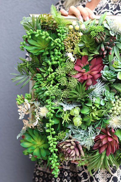 efektowna kwietna rama jednostronna, Sukulenty Revollito