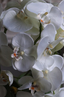 Gold Reveria, sztuczny storczyk w złotej donicy