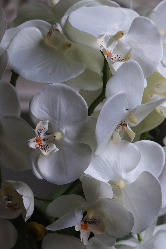 Gold Reveria, sztuczny storczyk w złotej donicy