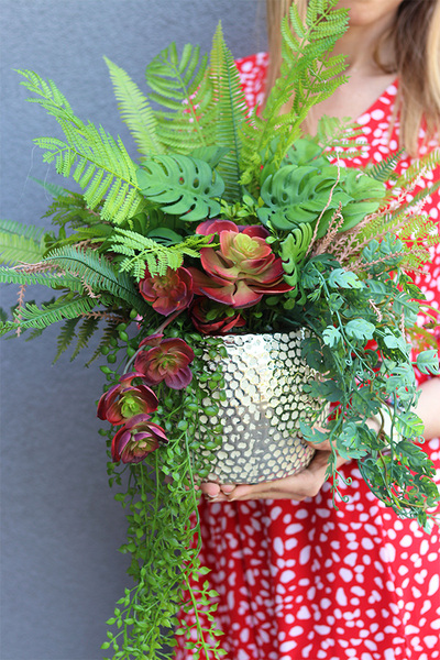 Bizett, sukulenty w ozdobnej donicy