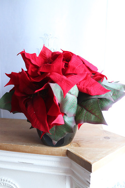 Gwiazda Betlejemska Czerń 2, wysokiej jakości sztuczna roślina, wys.33cm 