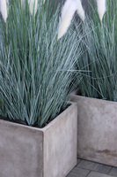 Concrete Square 2, wysokiej jakości sztuczna trawa w betonowej donicy