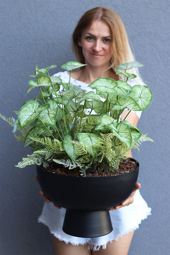 Alokazja Big Black, sztuczna roślina w pucharze