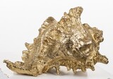 figurka muszla Goldshell, wym.12x17x18cm