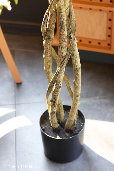 Klon Japoński, sztuczna roślina w doniczce