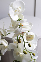 Fornasetta Stripes, sztuczny storczyk w ozdobnej donicy