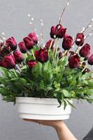 Tulipaneo Bordo Saute, dekoracja nagrobna do Twojej donicy