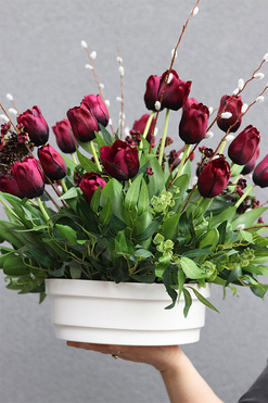 Tulipaneo Bordo Saute, dekoracja nagrobna do Twojej donicy, wys.47cm