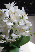 Neriua, biały sztuczny storczyk