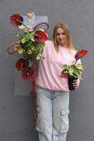 Clear Design Carmen, nowoczesny bukiet nagrobny we wkładzie