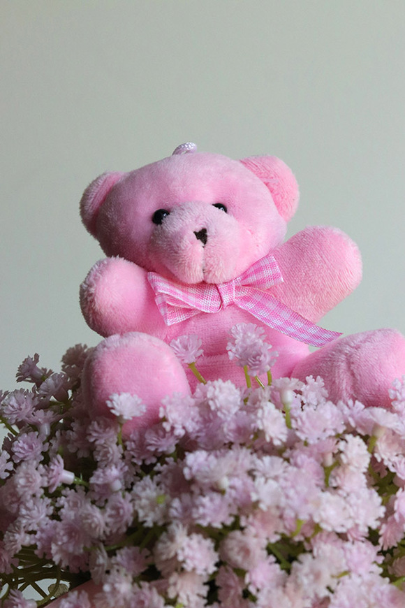 Gipsówka Teddy, flowerbox kwiatowy welurowy