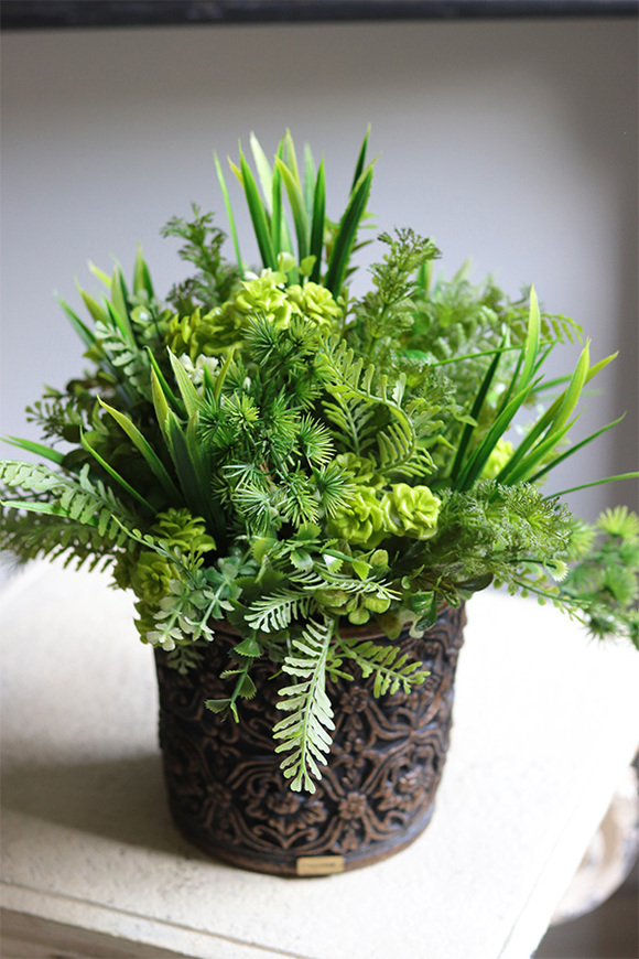 Ferade, sukulenty w nowoczesnej donicy