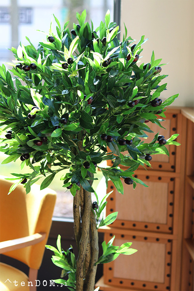 Drzewko Oliwne, sztuczna roślina w doniczce