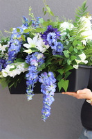 Opera Blue, kompozycja kwiatowa w donicy