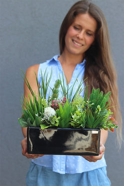 Landi, kompozycja z sukulentów w czarnej doniczce, wys.28cm