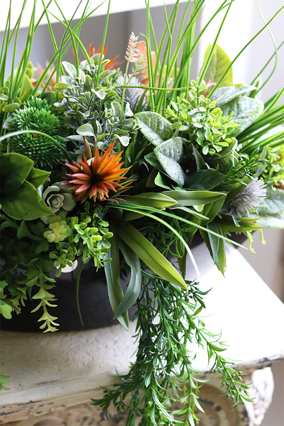 Green Terrance Laos, kompozycja sukulenty w czarnej donicy