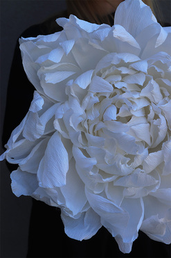 Paper Flower Ł, ręcznie robiony kwiat papierowy, wym.32x15cm