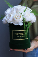 Green Velevet, zielony flowerbox z pełnikami