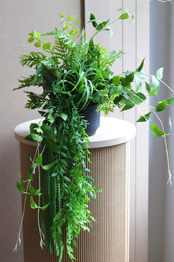 Zielona Poświata, kompozycja sukulenty w donicy, wym.37x50cm 