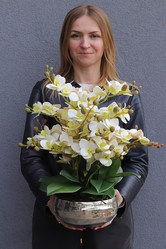 Deluxe Albina, gumowy storczyk w srebrnej misie
