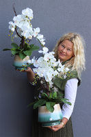 Gretiena, sztuczny storczyk w doniczce ombre