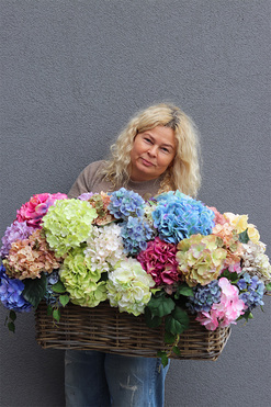 Colores Spain, długi kosz z kolorowymi hortensjami, wym.50x70cm