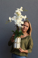  Gostlik, storczyk w biało-złotym naczyniu