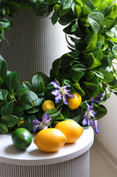 Mamma Mia zielony wianek na drzwi z owocami