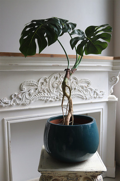 Drzewko Monstera, sztuczne drzewo w doniczce, wys.115cm