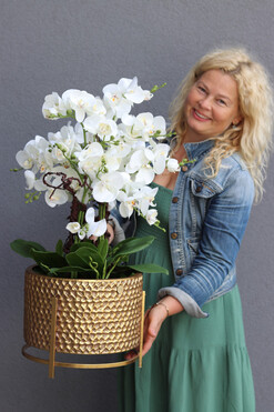 Goldenario Medium, biały storczyk w złotej donicy, wys.76cm