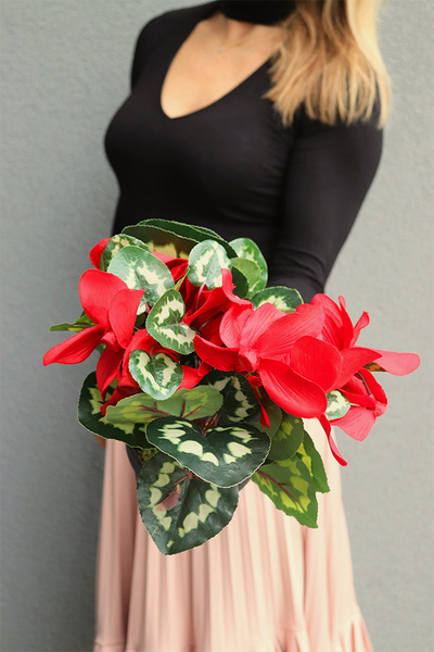 Cyklamen sztuczny w doniczce, czerwony