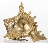 figurka muszla Goldshell, wym.12x17x18cm