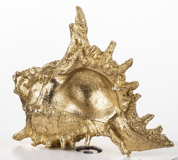 figurka muszla Goldshell, wym.12x17x18cm