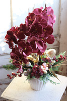 dekoracja świąteczna ze storczykiem, Velurro Pudrovy, wys.61cm 