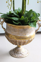 bogaty storczyk w złotym pucharze, Palazzino, wys.100cm