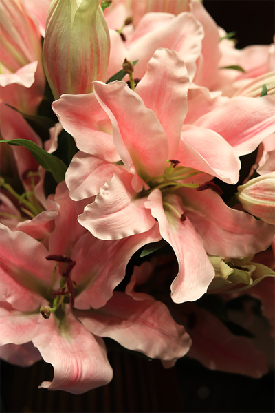 Liliowe Hilton 2, kompozycja kwiatowa w naczyniu