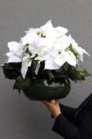 Gwiazda Betlejemska Green Pot, wysokiej jakości sztuczna roślina