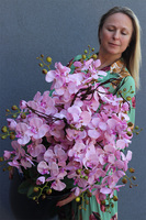 Grande Fiberglass Black, pudrowy storczyk w wysokiej czarnej donicy, wys.125cm