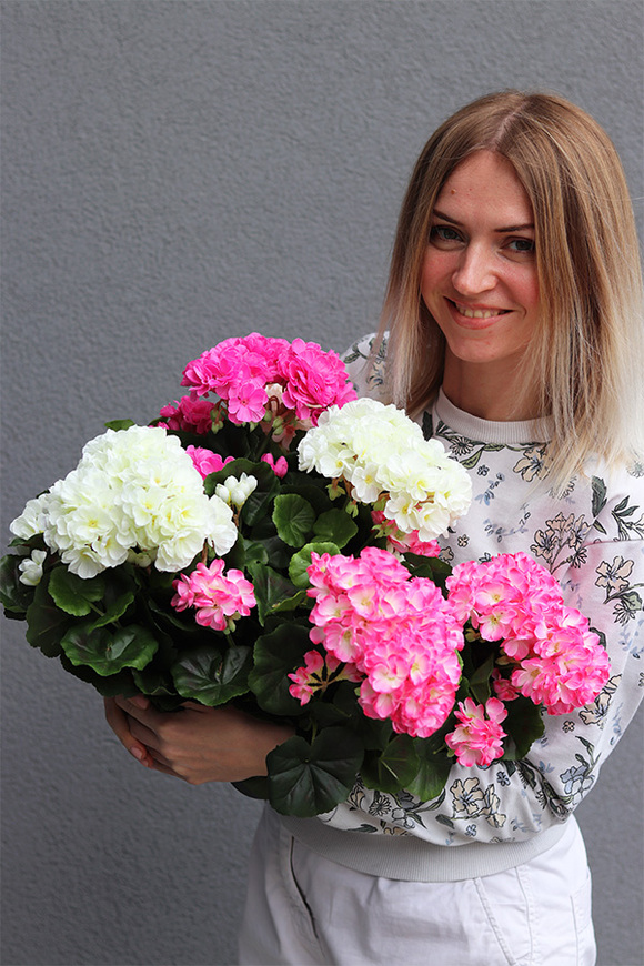 doniczkowa pelargonia Fuksja-krem, wysokiej jakości sztuczne kwiaty