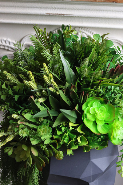 Adonis Head, nowoczesna dekoracja zielona w głowie