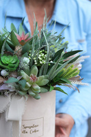 kremowy welurowy flowerbox z sukulentami, Zielona Przystań