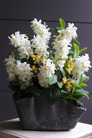 Volcan Hiacynto, kompozycja nagrobna w misie