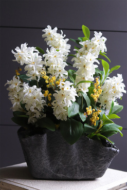 Volcan Hiacynto, kompozycja nagrobna w misie, wys.45cm 