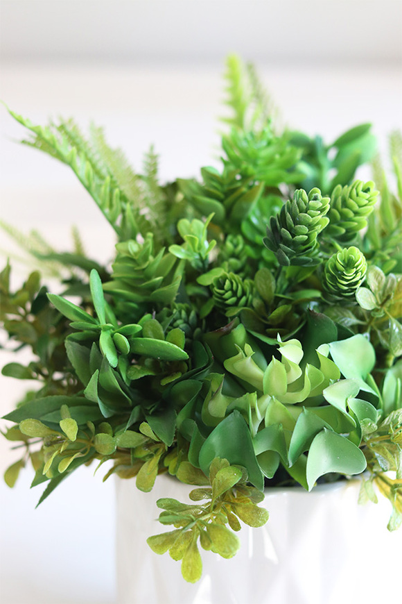 Forenia A, zielona kompozycja z sukulentami, wym.27cm