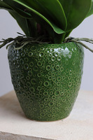 Eveline Belia, fioletowy sztuczny storczyk w zielonej donicy